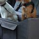 Best Car Seats for 2 Dogs: Safe & Comfy Travel | My Caring Dog – Tips, Stories, and Care Guides for Loving Pet Owners