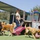 Top Vacation Dog Care Tips & Services | Safem Fabrication - Precision Engineering & Custom Manufacturing Solutions