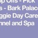 Top-Rated Bark Palace Dog Day Care Kennel Near You | My Caring Dog – Tips, Stories, and Care Guides for Loving Pet Owners