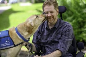 Best Canine Partners for Car Travel My Caring Dog – Tips, Stories, and Care Guides for Loving Pet Owners Best Canine Partners for Car Travel | My Caring Dog – Tips, Stories, and Care Guides for Loving Pet Owners