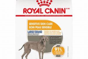 Best Royal Canin Sensitive Skin Food for Large Dogs My Caring Dog – Tips, Stories, and Care Guides for Loving Pet Owners Best Royal Canin Sensitive Skin Food for Large Dogs | My Caring Dog – Tips, Stories, and Care Guides for Loving Pet Owners