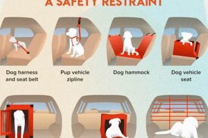 Dog Car Harness Law: A Complete Guide My Caring Dog – Tips, Stories, and Care Guides for Loving Pet Owners Dog Car Harness Law: A Complete Guide | My Caring Dog – Tips, Stories, and Care Guides for Loving Pet Owners