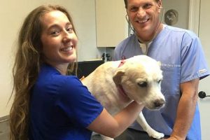 Top Lafayette Dog Care & Walking Services My Caring Dog – Tips, Stories, and Care Guides for Loving Pet Owners Top Lafayette Dog Care & Walking Services | My Caring Dog – Tips, Stories, and Care Guides for Loving Pet Owners