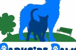 Best Dog Day Care in Louisville KY | Top Kennels My Caring Dog – Tips, Stories, and Care Guides for Loving Pet Owners Best Dog Day Care in Louisville KY | Top Kennels | My Caring Dog – Tips, Stories, and Care Guides for Loving Pet Owners