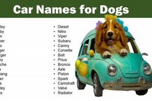 Dog Names Inspired By Cars My Caring Dog – Tips, Stories, and Care Guides for Loving Pet Owners Dog Names Inspired By Cars | My Caring Dog – Tips, Stories, and Care Guides for Loving Pet Owners