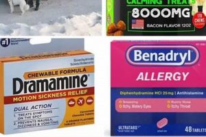 Can Benadryl Help Dog Car Sickness? Dosage & Tips My Caring Dog – Tips, Stories, and Care Guides for Loving Pet Owners Can Benadryl Help Dog Car Sickness? Dosage & Tips | My Caring Dog – Tips, Stories, and Care Guides for Loving Pet Owners