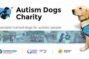 Support Service Dog Charities: Donate Today Safem Fabrication - Precision Engineering & Custom Manufacturing Solutions Support Service Dog Charities: Donate Today | Safem Fabrication - Precision Engineering & Custom Manufacturing Solutions