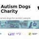 Support Service Dog Charities: Donate Today | Safem Fabrication - Precision Engineering & Custom Manufacturing Solutions