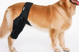 Best Support for Dogs: Car & Travel Essentials Safem Fabrication - Precision Engineering & Custom Manufacturing Solutions Best Support for Dogs: Car & Travel Essentials | Safem Fabrication - Precision Engineering & Custom Manufacturing Solutions