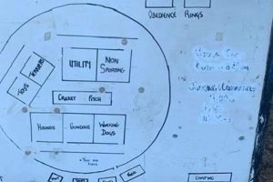 Best Dog Day Care in Southern Highlands NV My Caring Dog – Tips, Stories, and Care Guides for Loving Pet Owners Best Dog Day Care in Southern Highlands NV | My Caring Dog – Tips, Stories, and Care Guides for Loving Pet Owners