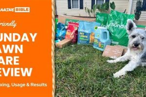 Is Sunday Lawn Care Safe for Dogs? Tips & Tricks | Safem Fabrication - Precision Engineering & Custom Manufacturing Solutions