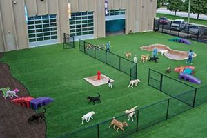 Best Dog Day Care Outdoors: Fun & Safe Safem Fabrication - Precision Engineering & Custom Manufacturing Solutions Best Dog Day Care Outdoors: Fun & Safe | Safem Fabrication - Precision Engineering & Custom Manufacturing Solutions