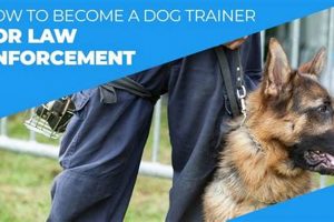 Become a Police Dog Trainer: Career Guide Safem Fabrication - Precision Engineering & Custom Manufacturing Solutions Become a Police Dog Trainer: Career Guide | Safem Fabrication - Precision Engineering & Custom Manufacturing Solutions