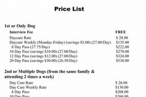 Affordable Dog Day Care Prices & Costs Near You My Caring Dog – Tips, Stories, and Care Guides for Loving Pet Owners Affordable Dog Day Care Prices & Costs Near You | My Caring Dog – Tips, Stories, and Care Guides for Loving Pet Owners