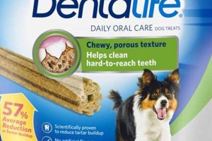 Best Dog Oral Care Products for Healthy Smiles Safem Fabrication - Precision Engineering & Custom Manufacturing Solutions Best Dog Oral Care Products for Healthy Smiles | Safem Fabrication - Precision Engineering & Custom Manufacturing Solutions