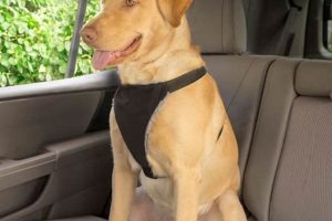 Best Car Dog Harnesses for Safe Travels My Caring Dog – Tips, Stories, and Care Guides for Loving Pet Owners Best Car Dog Harnesses for Safe Travels | My Caring Dog – Tips, Stories, and Care Guides for Loving Pet Owners
