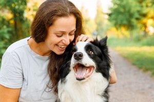 Should You Get a Car Dog? Breed & Travel Tips | Safem Fabrication - Precision Engineering & Custom Manufacturing Solutions