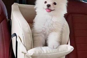 Aidou Dog Car Seat Safem Fabrication - Precision Engineering & Custom Manufacturing Solutions Aidou Dog Car Seat | Safem Fabrication - Precision Engineering & Custom Manufacturing Solutions