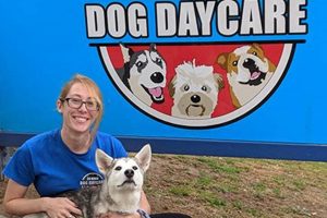 Best Dog Day Care in San Diego: Top Choices My Caring Dog – Tips, Stories, and Care Guides for Loving Pet Owners Best Dog Day Care in San Diego: Top Choices | My Caring Dog – Tips, Stories, and Care Guides for Loving Pet Owners