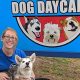 Best Dog Day Care in San Diego: Top Choices | Safem Fabrication - Precision Engineering & Custom Manufacturing Solutions