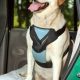 Dog Car Buckle | Safem Fabrication - Precision Engineering & Custom Manufacturing Solutions