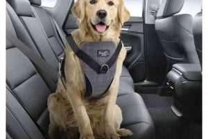 Best Dog Car Harness for Safe Travel My Caring Dog – Tips, Stories, and Care Guides for Loving Pet Owners Best Dog Car Harness for Safe Travel | My Caring Dog – Tips, Stories, and Care Guides for Loving Pet Owners