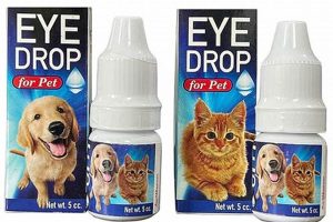 Best Pet Eye Care Drops for Dogs: A Guide Safem Fabrication - Precision Engineering & Custom Manufacturing Solutions Best Pet Eye Care Drops for Dogs: A Guide | Safem Fabrication - Precision Engineering & Custom Manufacturing Solutions