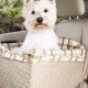 Top PetSafe Dog Car Seats: Ultimate Guide | My Caring Dog – Tips, Stories, and Care Guides for Loving Pet Owners