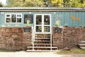 Best Dog Day Care in Cornwall | Top Kennels Safem Fabrication - Precision Engineering & Custom Manufacturing Solutions Best Dog Day Care in Cornwall | Top Kennels | Safem Fabrication - Precision Engineering & Custom Manufacturing Solutions