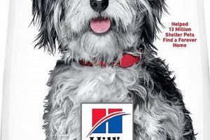 Best Science Diet Joint Care Dog Food for Mobility My Caring Dog – Tips, Stories, and Care Guides for Loving Pet Owners Best Science Diet Joint Care Dog Food for Mobility | My Caring Dog – Tips, Stories, and Care Guides for Loving Pet Owners