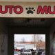 Best Auto Mutt Dog Car Wash & Detailing | My Caring Dog – Tips, Stories, and Care Guides for Loving Pet Owners