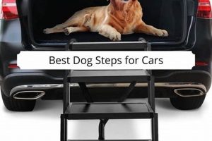 Best Dog Steps & Ramps For Car Access My Caring Dog – Tips, Stories, and Care Guides for Loving Pet Owners Best Dog Steps & Ramps For Car Access | My Caring Dog – Tips, Stories, and Care Guides for Loving Pet Owners