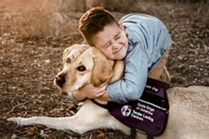 Best Autism Service Dogs in America: A Guide | Safem Fabrication - Precision Engineering & Custom Manufacturing Solutions