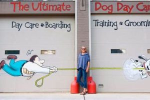 Top Dog Day Care in Chattanooga TN: Best Options | Safem Fabrication - Precision Engineering & Custom Manufacturing Solutions