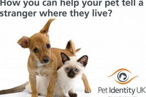 Because You Care Dogs My Caring Dog – Tips, Stories, and Care Guides for Loving Pet Owners Because You Care Dogs | My Caring Dog – Tips, Stories, and Care Guides for Loving Pet Owners