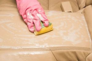 Effortlessly Remove Dog Hair from Car Seats My Caring Dog – Tips, Stories, and Care Guides for Loving Pet Owners Effortlessly Remove Dog Hair from Car Seats | My Caring Dog – Tips, Stories, and Care Guides for Loving Pet Owners
