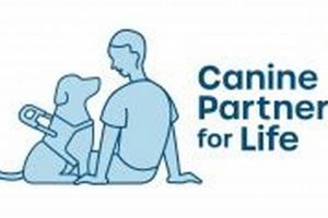 The Ultimate Guide to Canine Partners for Life | Safem Fabrication - Precision Engineering & Custom Manufacturing Solutions
