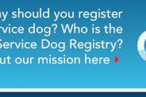 Verify Service Dog: Quick Lookup Guide | Safem Fabrication - Precision Engineering & Custom Manufacturing Solutions