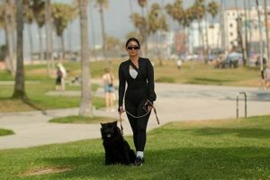 Caninerescueclub | Safem Fabrication - Precision Engineering & Custom Manufacturing Solutions