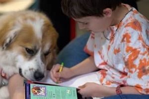 Get Therapy Dog Grants: Funding & Support | Safem Fabrication - Precision Engineering & Custom Manufacturing Solutions