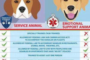 Train Your Dog as a Service Dog for Free: DIY Guide My Caring Dog – Tips, Stories, and Care Guides for Loving Pet Owners Train Your Dog as a Service Dog for Free: DIY Guide | My Caring Dog – Tips, Stories, and Care Guides for Loving Pet Owners