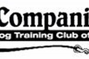 Companion Dog Training Club My Caring Dog – Tips, Stories, and Care Guides for Loving Pet Owners Companion Dog Training Club | My Caring Dog – Tips, Stories, and Care Guides for Loving Pet Owners