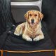 Best Dog Car Seat Protector Covers &amp; Mats | My Caring Dog – Tips, Stories, and Care Guides for Loving Pet Owners