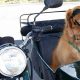 Dog In Side Car | My Caring Dog – Tips, Stories, and Care Guides for Loving Pet Owners