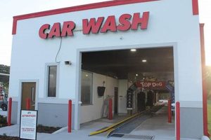 Top Dog Car Wash Melbourne My Caring Dog – Tips, Stories, and Care Guides for Loving Pet Owners Top Dog Car Wash Melbourne | My Caring Dog – Tips, Stories, and Care Guides for Loving Pet Owners