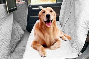 Best Dog Car Seat Covers: Ultimate Protection My Caring Dog – Tips, Stories, and Care Guides for Loving Pet Owners Best Dog Car Seat Covers: Ultimate Protection | My Caring Dog – Tips, Stories, and Care Guides for Loving Pet Owners
