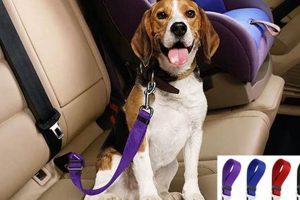 Best Adjustable Dog Car Harnesses for Safe Travel My Caring Dog – Tips, Stories, and Care Guides for Loving Pet Owners Best Adjustable Dog Car Harnesses for Safe Travel | My Caring Dog – Tips, Stories, and Care Guides for Loving Pet Owners