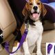 Best Adjustable Dog Car Harnesses for Safe Travel | Safem Fabrication - Precision Engineering & Custom Manufacturing Solutions