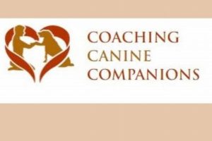 Car Dog: Coaching Canine Companions for Road Trips Safem Fabrication - Precision Engineering & Custom Manufacturing Solutions Car Dog: Coaching Canine Companions for Road Trips | Safem Fabrication - Precision Engineering & Custom Manufacturing Solutions