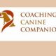Car Dog: Coaching Canine Companions for Road Trips | Safem Fabrication - Precision Engineering & Custom Manufacturing Solutions